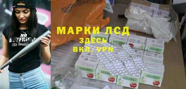стаф Вяземский