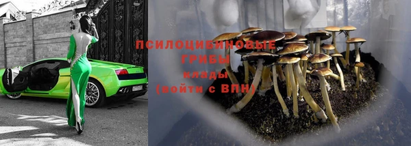 стаф Вяземский